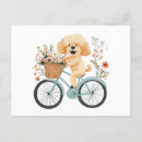 Search for bicycle basket postcards Summer