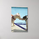 Search for behaviour canvas prints Close up
