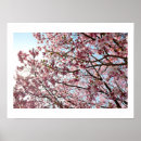 Recherche de fleurs de cerisier posters Fleur rose