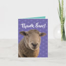 Search for sheep puns cards Farm animal