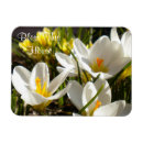 Search for easter blessing magnets Flowers