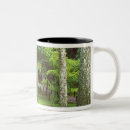 Recherche de japan mugs Temple