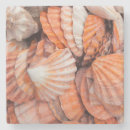 Recherche de key west dessous de verres Floride