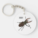 Search for stag keychains Beetle
