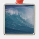 Search for maui ornaments Nature