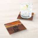 Search for camels coasters Bactrian camel