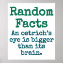 Search for fact posters Fun