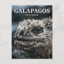 Recherche de iguane cartes postales Voyage