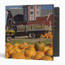 Search for nears binders Rural
