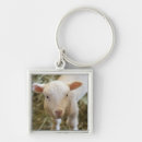 Search for baby lamb keychains Animal