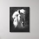 Recherche de cheval occidental art Photographie