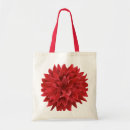 Recherche de dahlia rouge Minimum