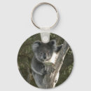 Search for koala keychains Bear