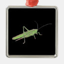 Search for grasshopper ornaments Green