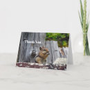 Search for animals photo cards Wildlife