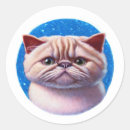 Recherche de rideau autocollants Mignon