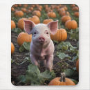 Search for pumpkin patch electronics Pumpkins