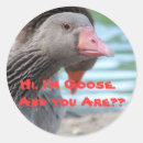 Search for goose stickers Fun