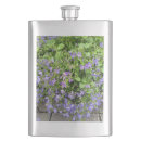 Search for clematis Garden flowers