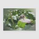 Search for bee tissue paper White