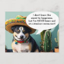 Search for burrito postcards Mexico