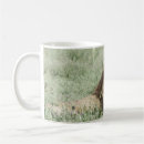 Search for daytime mugs Nature
