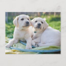 Search for cutest photography Cozy