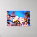 Search for cherry blossom tree canvas prints Flower