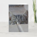 Search for peek a boo invitations Animals