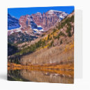 Search for aspen binders Nature