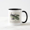 Recherche de description tasses École