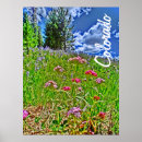 Search for colorado spring posters Mountains