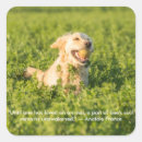Search for dog sayings stickers Pet