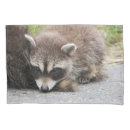 Search for raccoon pillowcases Nature