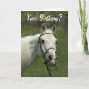 Recherche de cheval arabe blanc cartes postales Équestre