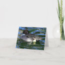 Search for swimming cards Bird