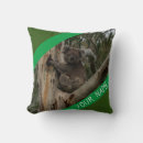 Search for koala baby pillows Green