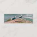 Recherche de falaise cartes visite Océan