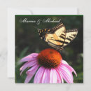 Search for swallowtail invitations Butterflies