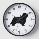 Search for collie clocks Dogs