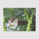 Search for large decoupage paper Flower