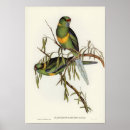 Recherche de zoologie vintage posters Nature