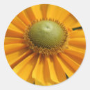 Search for sunny day stickers Nature