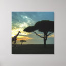 Search for african canvas prints Sunset