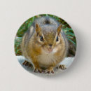 Search for chipmunks buttons Furry