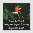 Recherche de oiseau de fleur de paradis invitations Nature