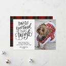 Search for yorkie christmas cards Pet