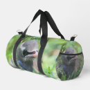 Search for cedar accessories Nature