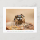 Recherche de macro photo cartes postales Nature
