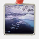 Search for antarctica ornaments Ice